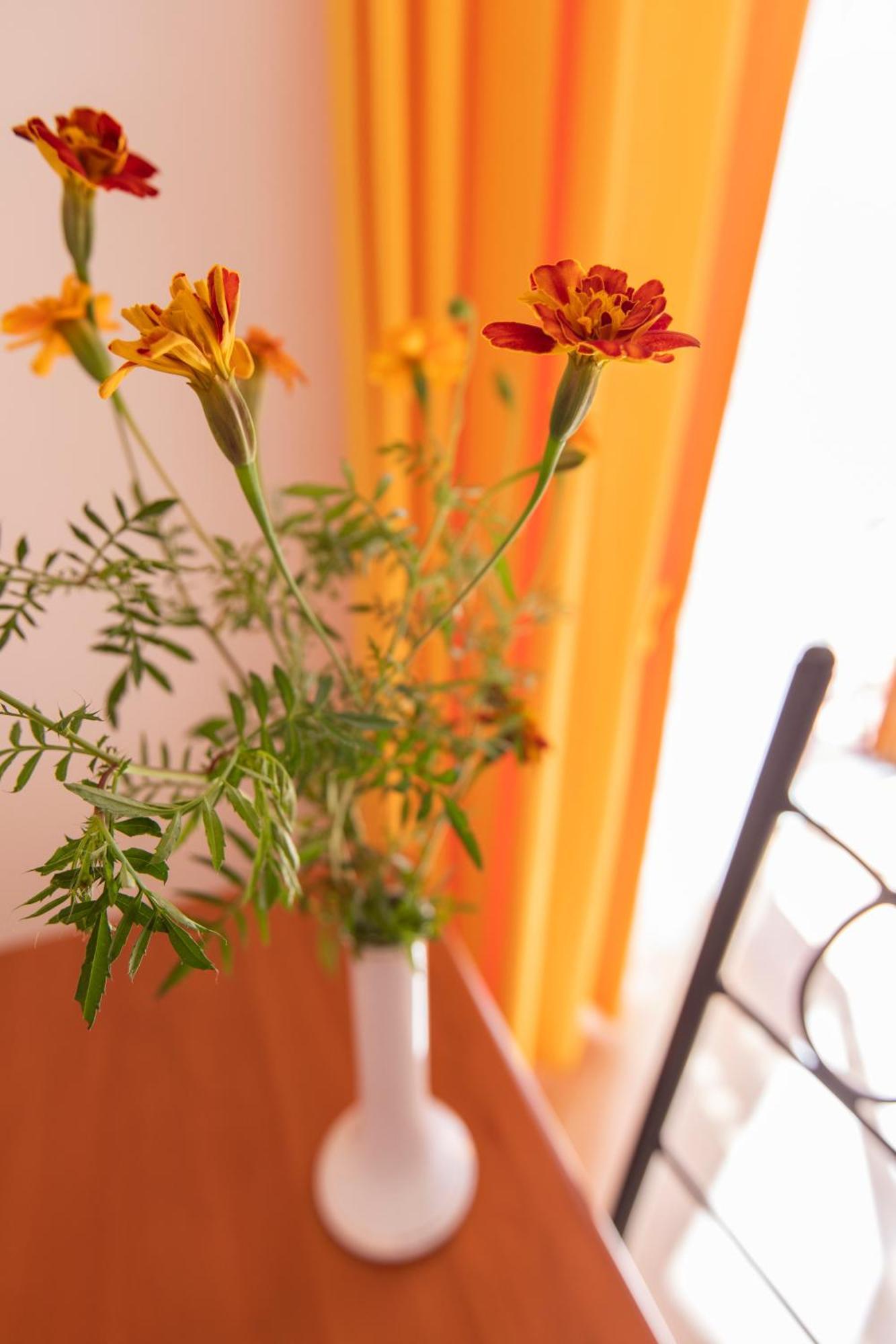 Sant'Anna Bed & Breakfast Agerola Eksteriør bilde